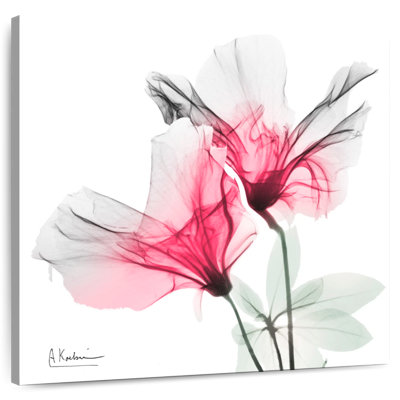 Harnek Yearly Beauty II