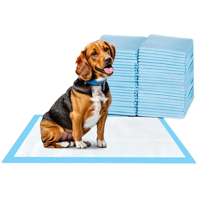 Tapis de dressage pour chien et chiot
