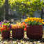 Ensemble de pots à fleurs en céramique faits à la main, 3 pots ronds 15/11/8 po, vernis rainuré, intérieur et extérieur, rouge foncé
