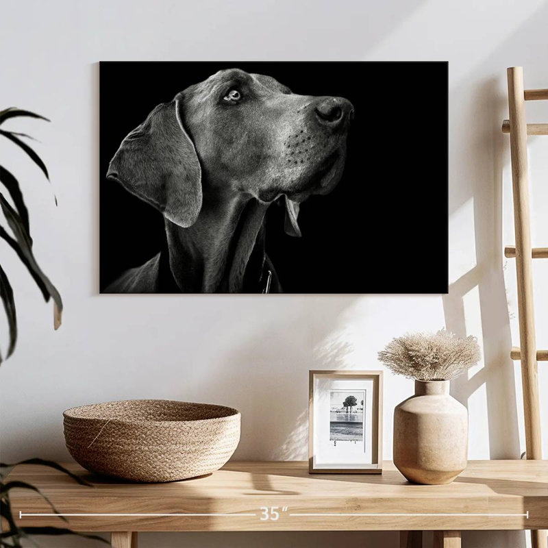 Brampt chien monochrome, H 16 po x l 24 po