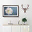 White Amaryllis Flower in Abstract - Picture Frame Graphic Art Print-55762511-55762512