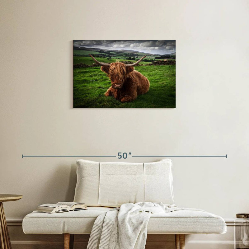 Brampt Mellow Highland Cow, 20" H x 30" W