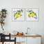 Ensemble de 2 giclées encadrées d'agrumes et de baies, design par Livi Finn-753051961-753051963