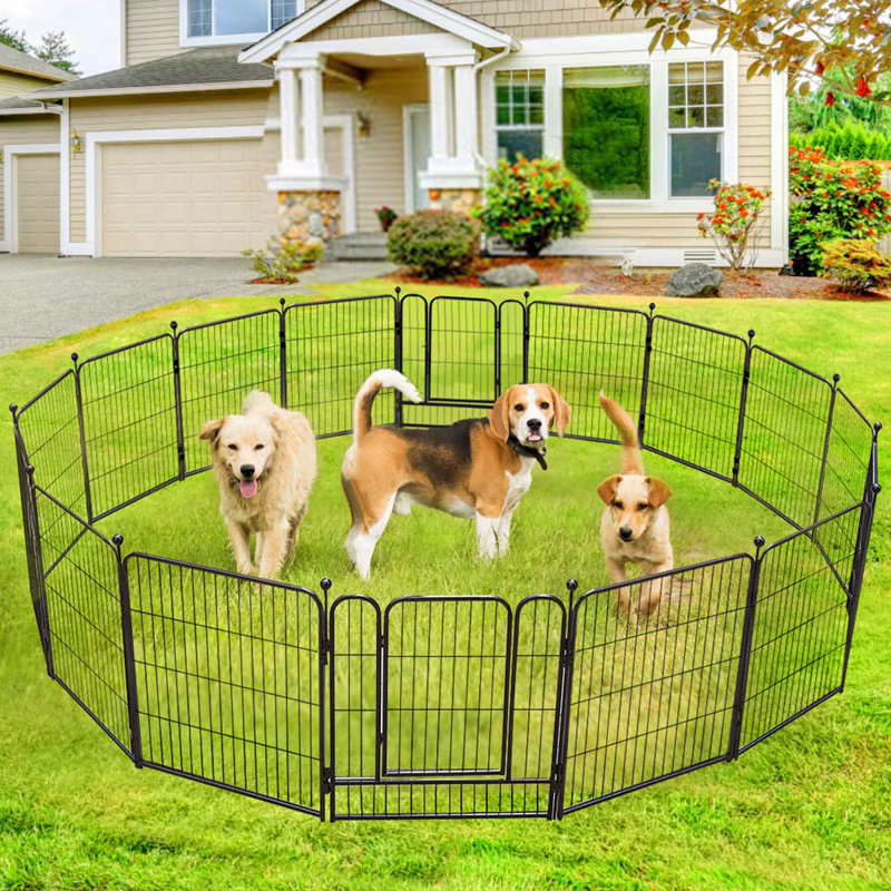Parc pour chien, enclos extérieur pour animaux de compagnie à 16 panneaux, enclos d'exercice pour grands / moyens / petits chiens
