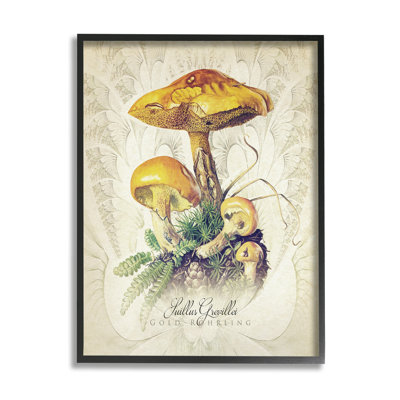 " German Scientific Mushroom Study " by Steve Hunziker