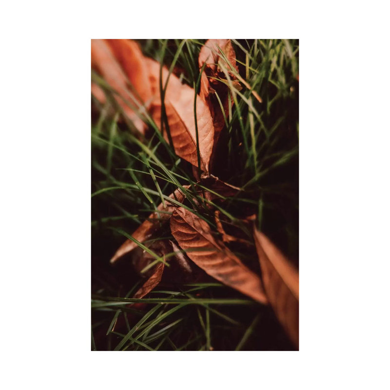 Shelter by Olivia Joy StClaire - Wrapped Canvas Gallery-Wrapped Canvas Giclée, 20.32 cm H x 30.48 cm W