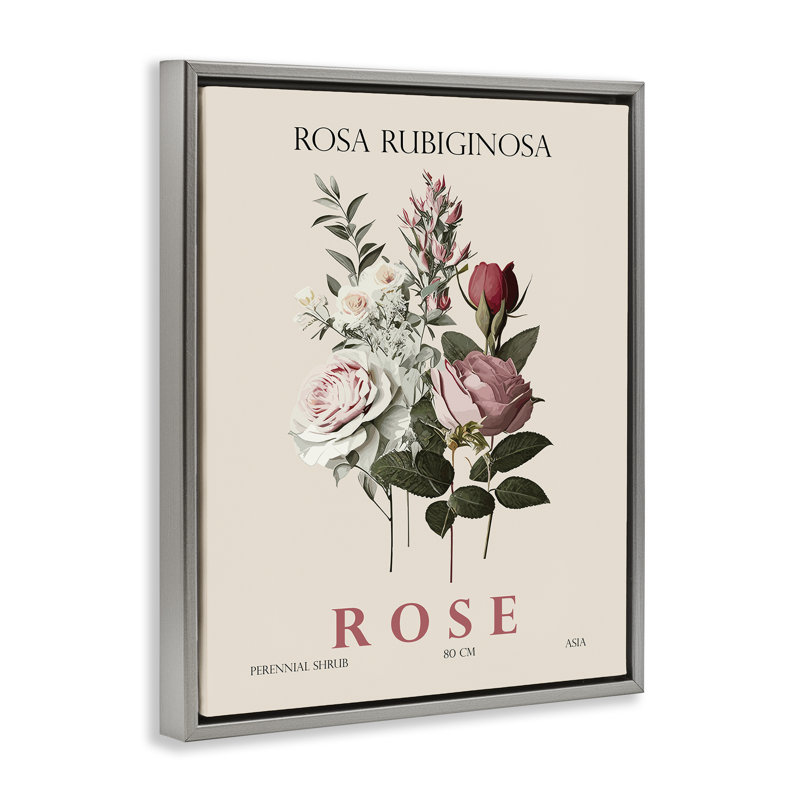 Cadre flottant Natural Rose, par Christopher Giampietro, H 21 po x l 17 po, Cadre flottant gris lustré