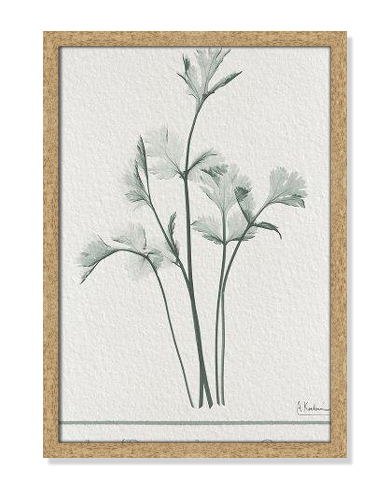 Jeanette "Parsley II" Print by Albert Koetsier, 23" H x 17" W x 1.25" D, Natural Framed Paper
