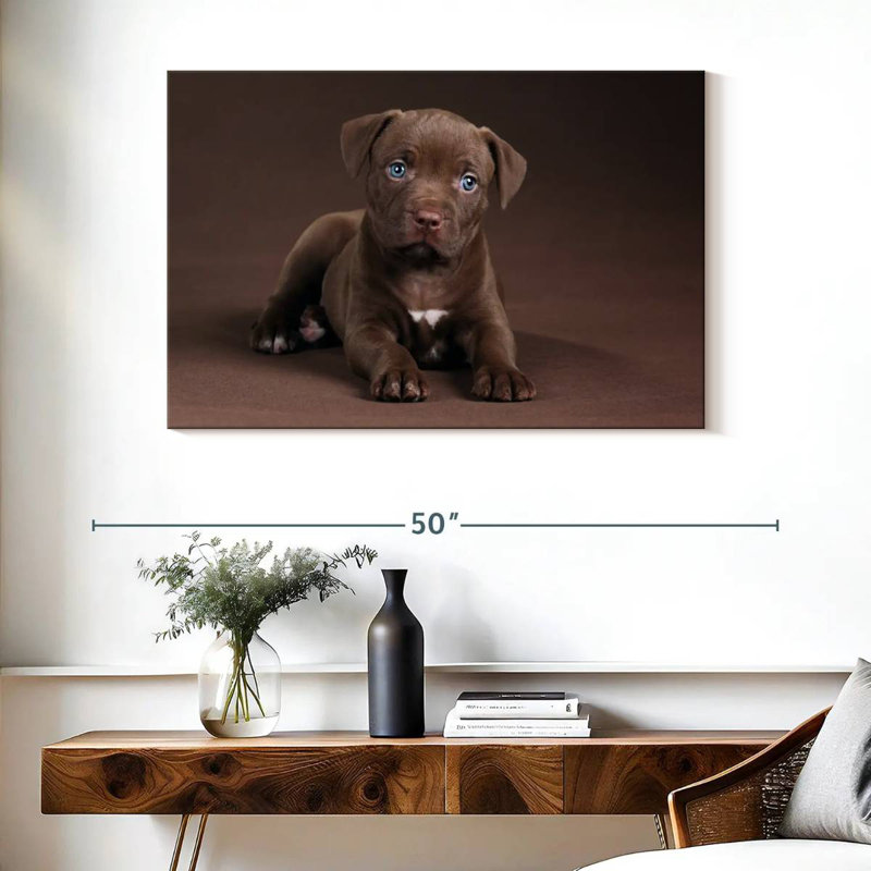Brampt Pit Bull Puppy, 26" H x 39" W