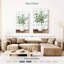 Pichet Harnek Eucalyptus-108600797