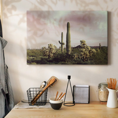 Orgue, tuyau, cactus national, galerie, toile tendue