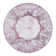 Oriental Indoor Rug