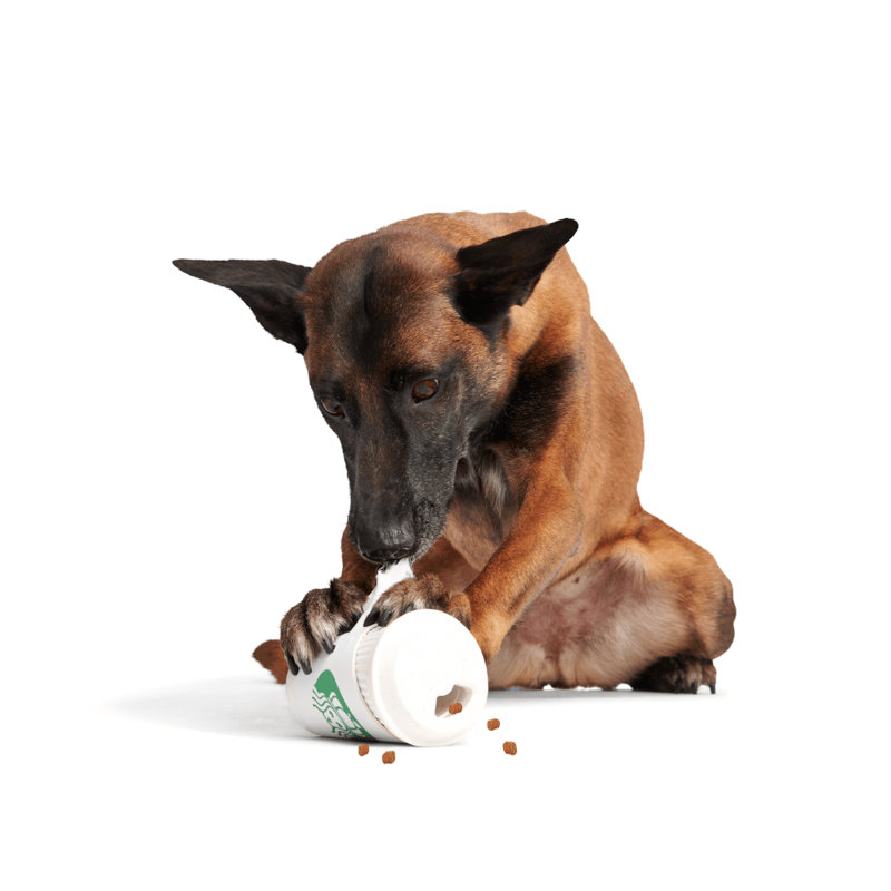 The Best Of Bark Super Chewer Accessories