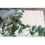 Tapis vert amande Ambesonne-60601699
