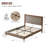 Wooden platform bed with upholstered base-2029263069-2029263067