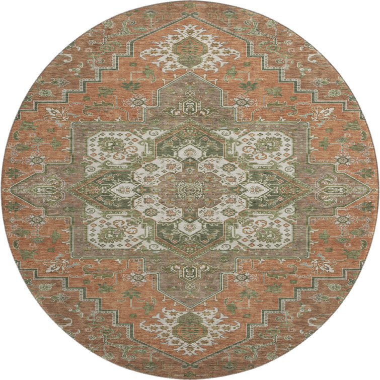 Premium Machine Washable Corum AMF1036 Oriental Rug