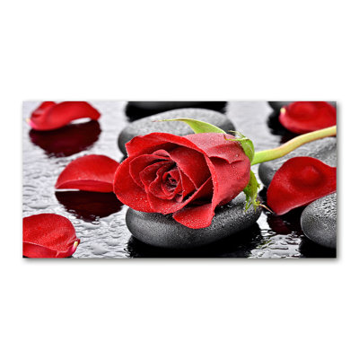 Red Rose - Wrapped Canvas Print