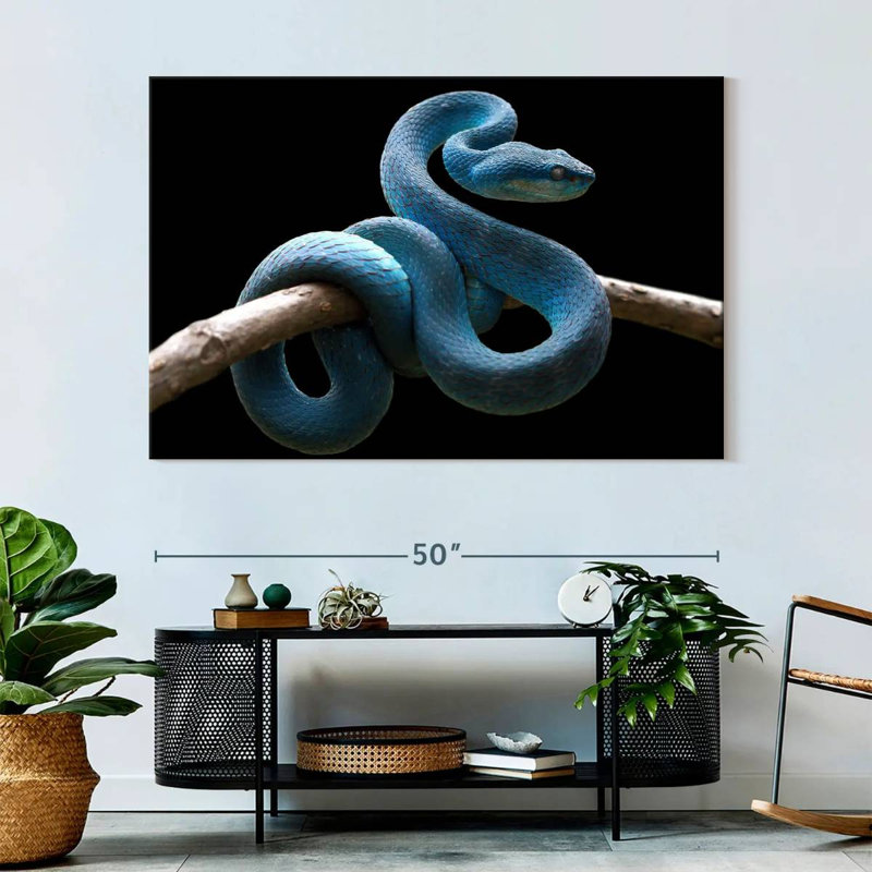 Brampt Blue Viper Snake, 34" H x 51" W
