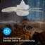 Alisha-Ann 75cm Ceiling Fan with Light Kit-905805412
