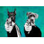 3AP5608 Reservoir Dogs (Pop Version) by VizLab - Wrapped Canvas Art Prints-1611085979