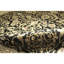 Hand Woven Silk and Wool Oriental Area Rug