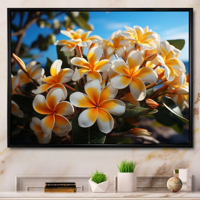 " White And Yellow Plumeria Tropical Splendor "