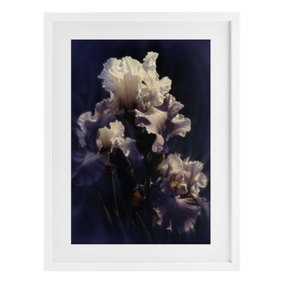 Iris Close Up Framed Print Under Glass, design by Collin Bogle