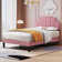 Auxter Upholstered Platform Bed Frame with Adjustable Headboard