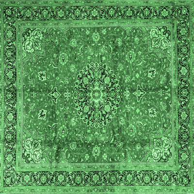 Olla Oriental Indoor Rug