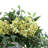 Nadeau Hydrangea Centerpiece in Decorative Pot