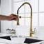 Blue Elephant Pull Down Kitchen Faucet-1325887828