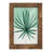 " Verging Palm IV "-1868410958-1868410953