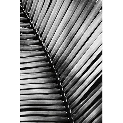 " Palm Frond I " by Debra Van Swearingen