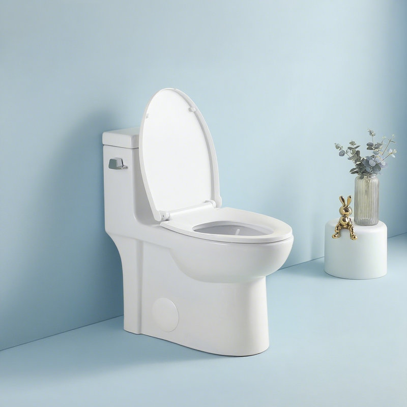 ABRUZZO 1.28 GPF Elongated Comfort Height One-Piece Toilet Floor Mounted (Soft Closing Seat Included), White