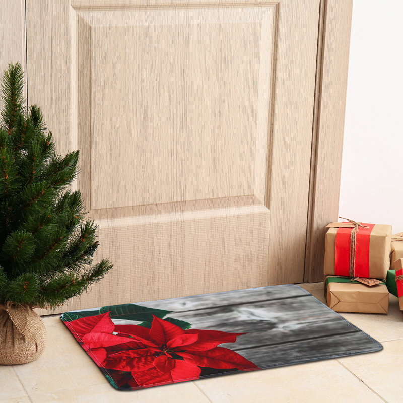 Tapis de porte d'intérieur 24 po x 16 po Andan