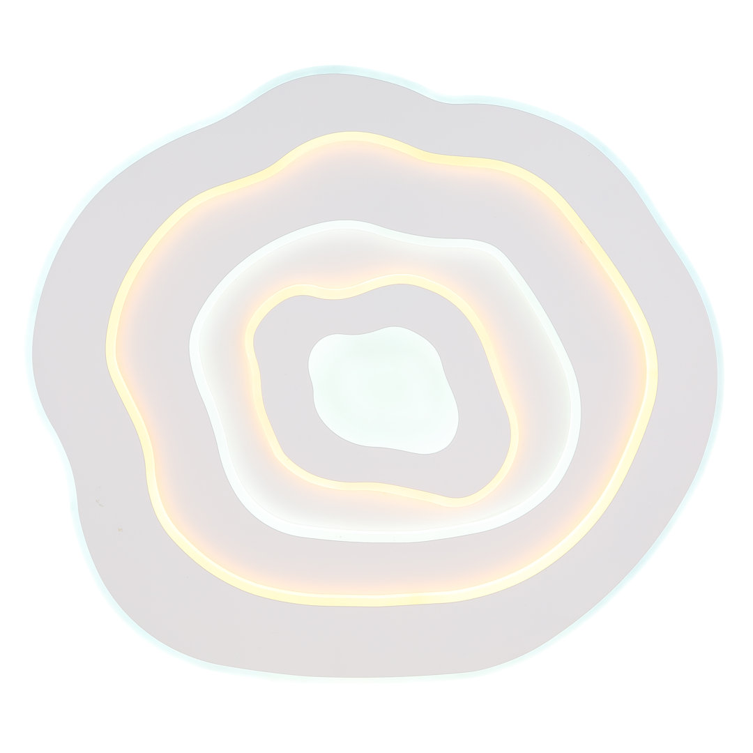 Ceiling light