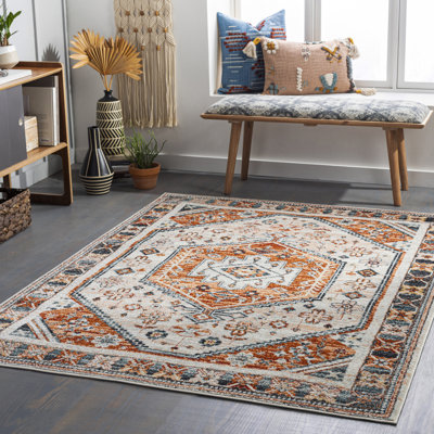 Aldusa Oriental Indoor Rug