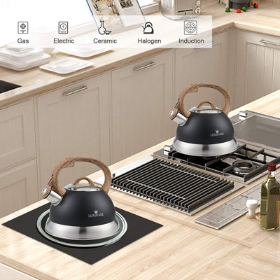 Bouilloire Stovetop