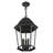 Heaney 3 - Light Outdoor Hanging Lantern-2024796029-2024796030
