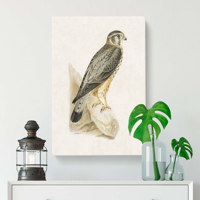 Merlin Falcon by Von Wright - Wrapped Canvas, 76cm H x 50cm W x 3cm D