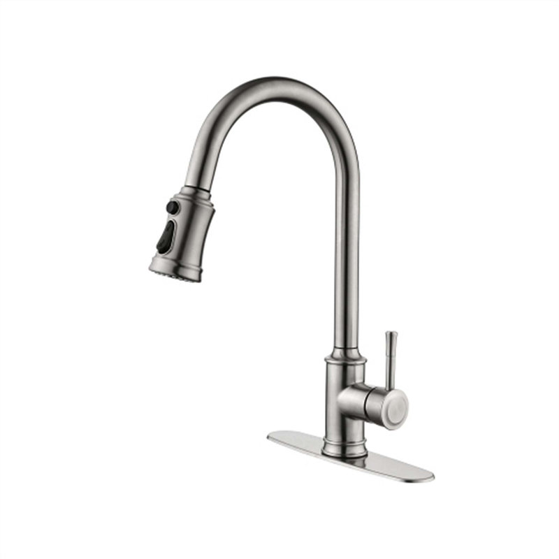 Red Cloud Pull Down Kitchen Faucet, Silver