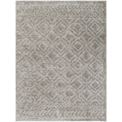 Khlani Delmy Diamond Gray Shag Area Rug