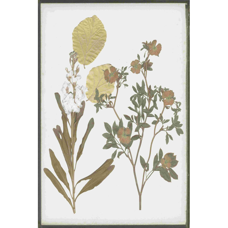 Fleurs pressées à livre I, H 30 po x l 20 po