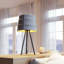  Lampe de table grise et noire