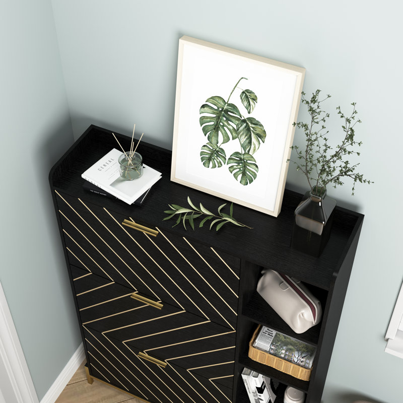Armoire de rangement pour chaussures Modern, Noir