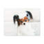 «Cute Papillon Bath», art mural-170590898