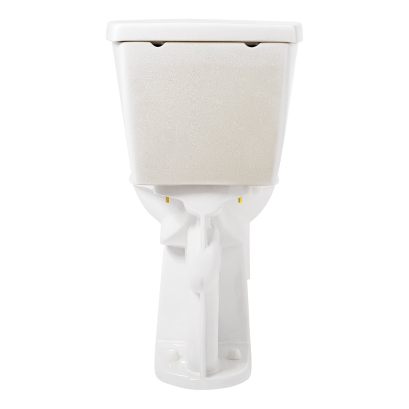 Bradenton Two-Piece Elongated Toilet with 14" Rough-In - 19" Bowl Height - Polished Nickel Handle, Brushed Gold, Left-Hand