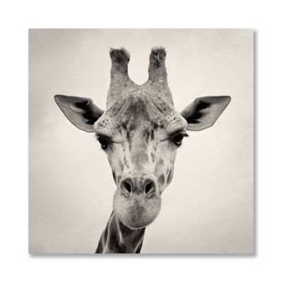 Courious Gariffe Print
