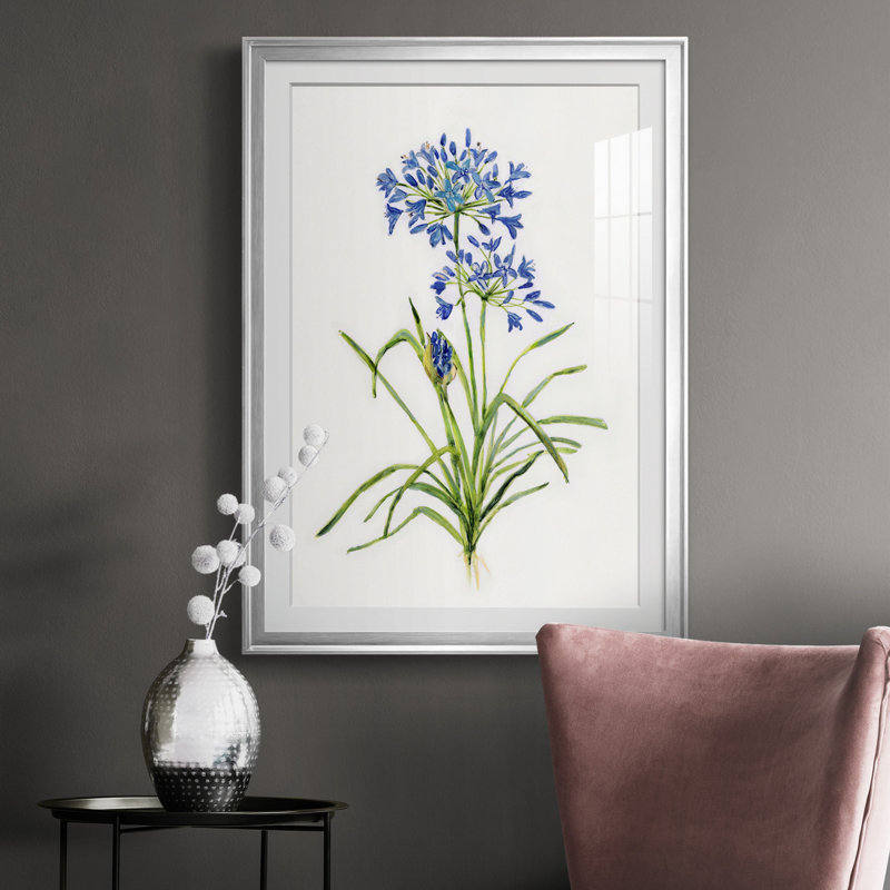 Blue Lived Botanical I - Cadre photo, reproduction d'art sur papier, Argent, H 30,5 po x l 42,5 po x P 1,5 po