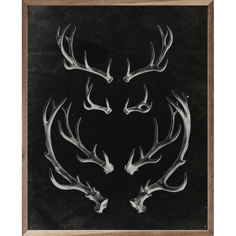 Bois de cerf noir, H 10 po x l 8 po, Noir